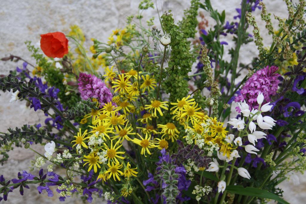 La Perle Du Lot Bed & Breakfast Castelnau-Montratier Exterior foto